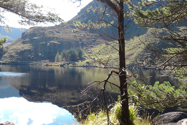 Dingle Peninsula Walks