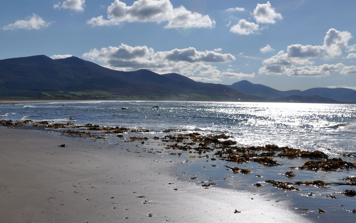 Enjoy the nearby stunning beaches of Tralee Bay